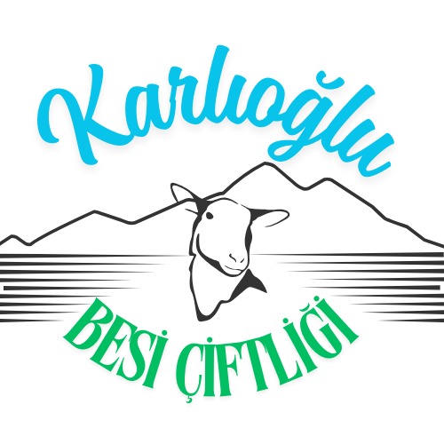 Karlıoğlu Besi Kurbanlık Adaklık